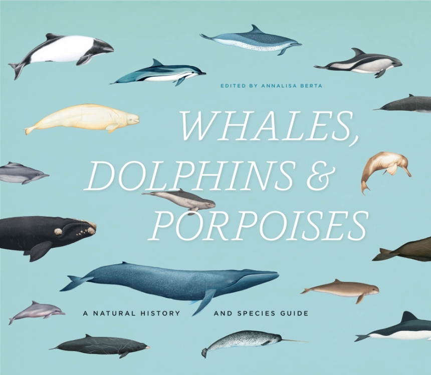 Whales, Dolphins, and Porpoises