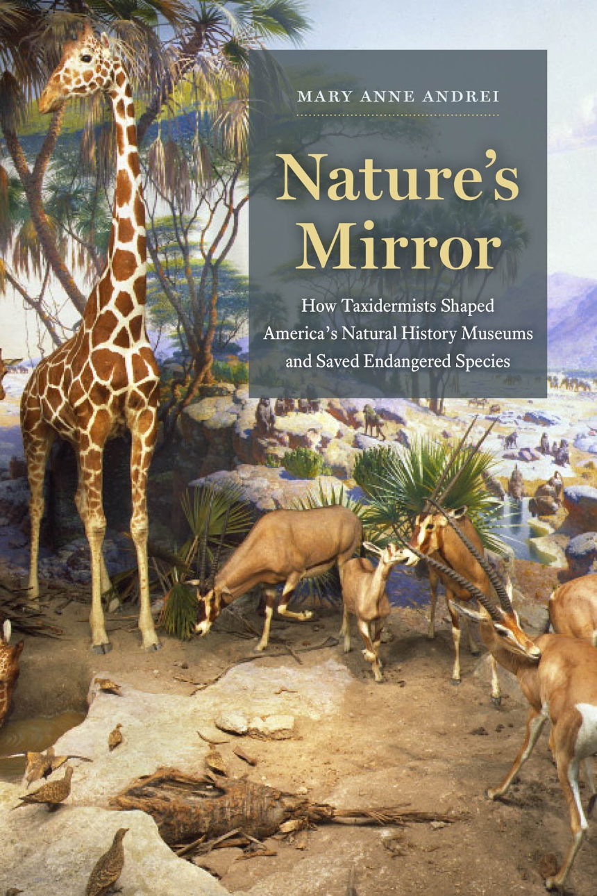 Nature’s Mirror