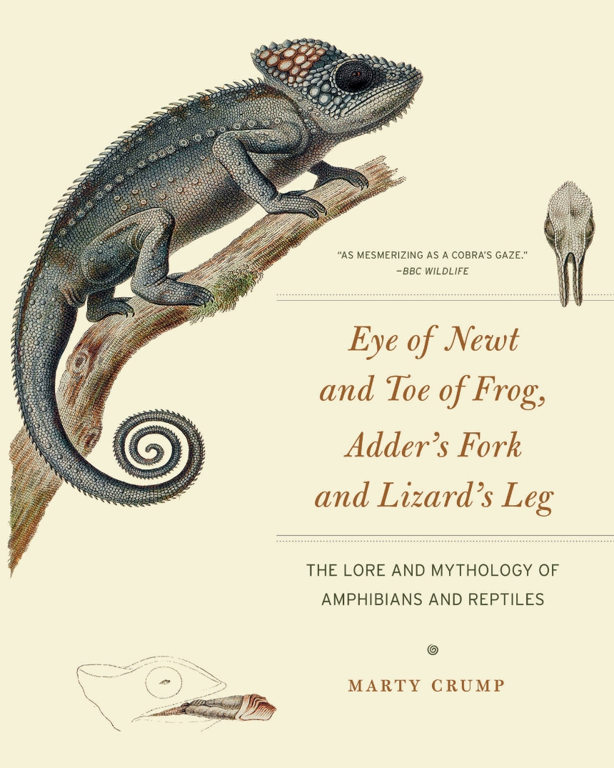 Eye of Newt and Toe of Frog, Adder’s Fork and Lizard’s Leg