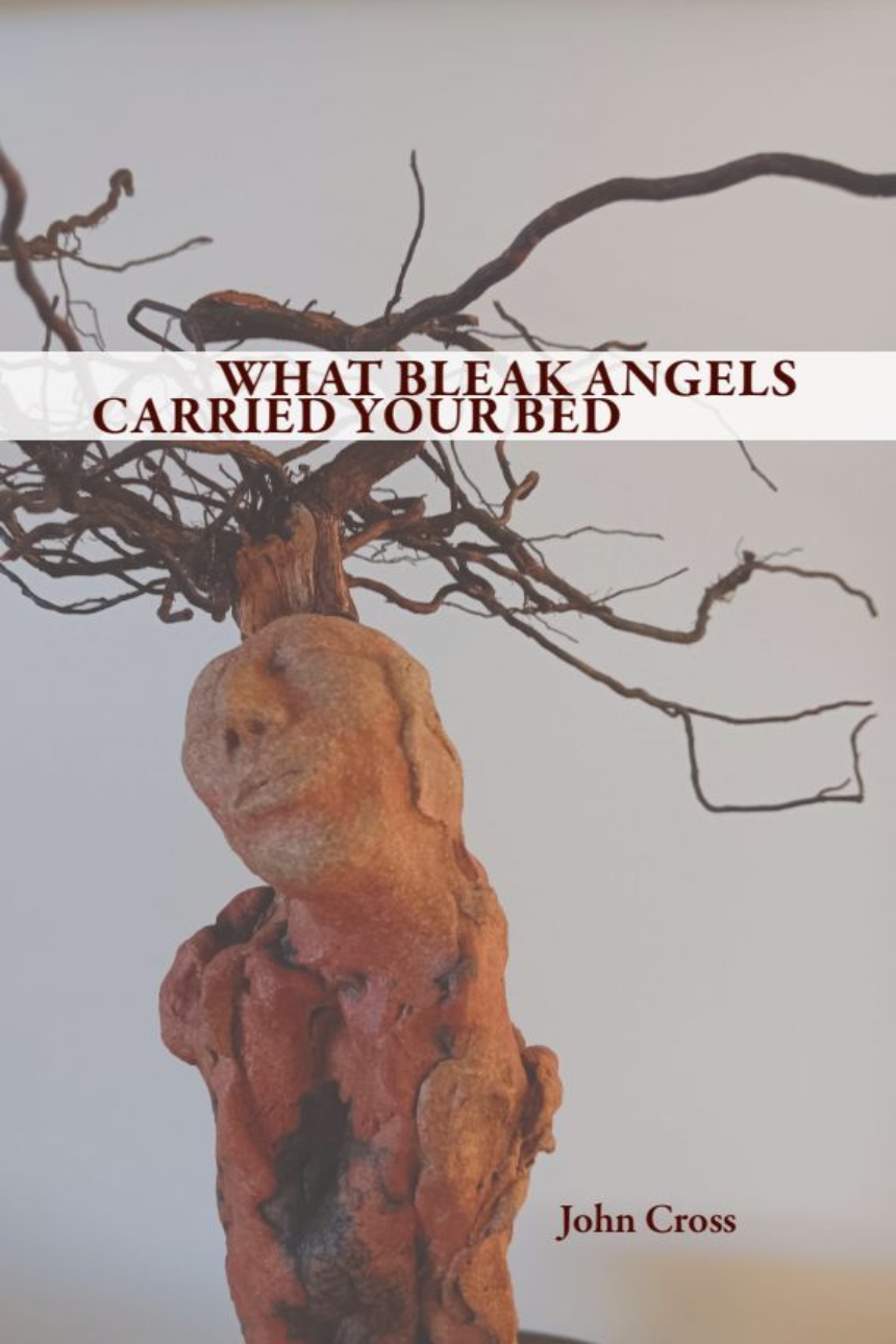 WHAT BLEAK ANGELS CARRIED YOUR BED