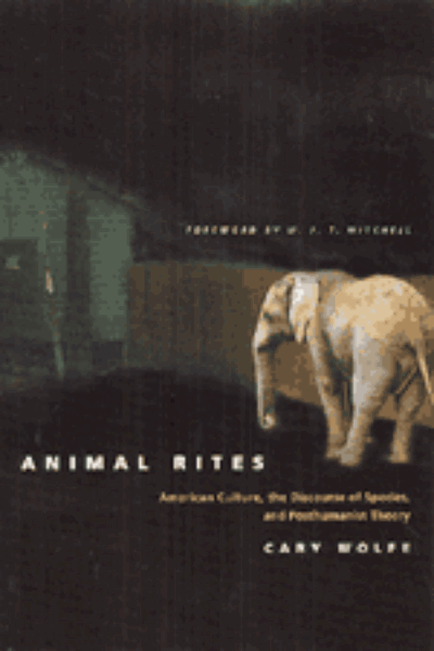 Animal Rites: American Culture, the Discourse of Species, and Posthumanist Theory